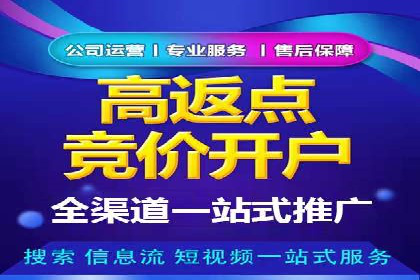 家电行业SEM推广策略：从广告到转化的全过程
